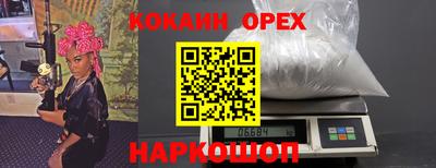 стафф Камышлов