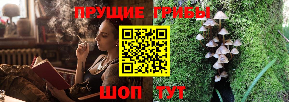 Псилоцибиновые грибы GOLDEN TEACHER Кропоткин