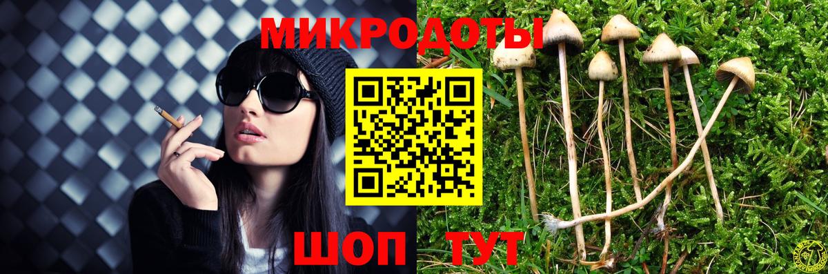 Кропоткин  наркота  Вход с VPN  Псилоцибиновые грибы Psilocybe 